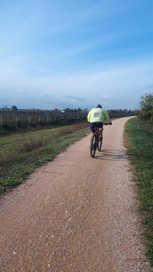 Sulla Ciclabile Apartment Lungo Il Fiume Adige Zevio Kültér fotó