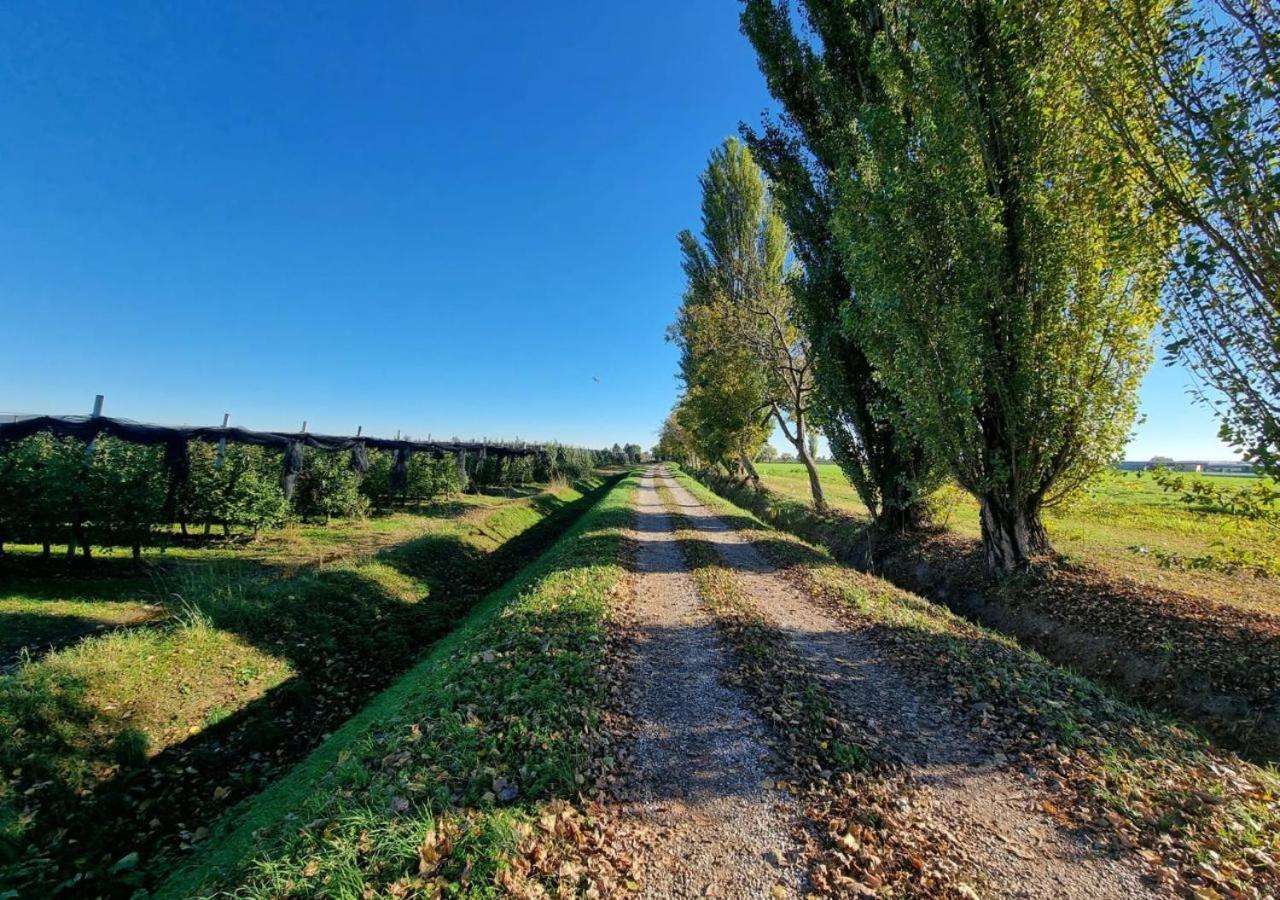 Sulla Ciclabile Apartment Lungo Il Fiume Adige Zevio Kültér fotó