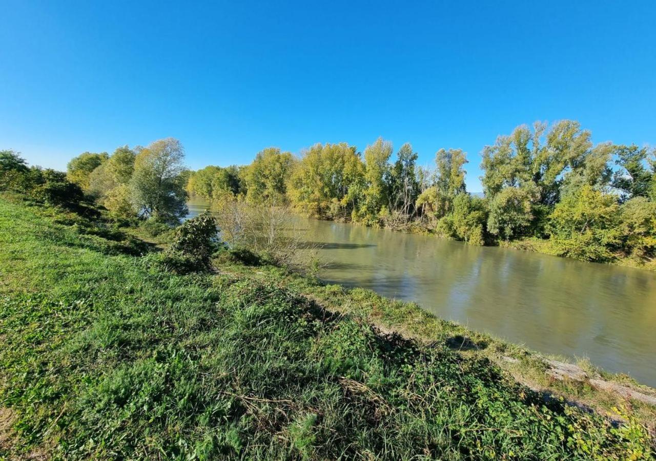 Sulla Ciclabile Apartment Lungo Il Fiume Adige Zevio Kültér fotó