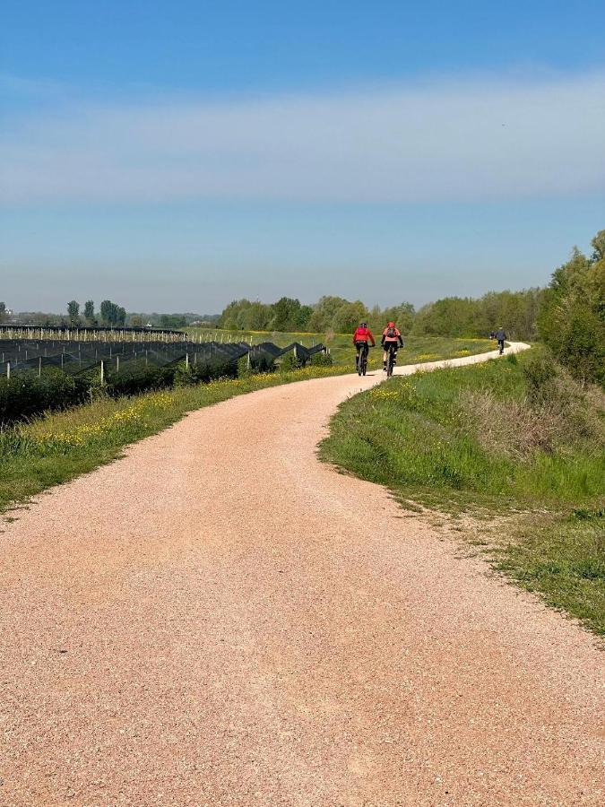 Sulla Ciclabile Apartment Lungo Il Fiume Adige Zevio Kültér fotó